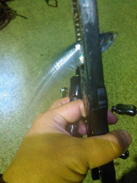 イワシメバルタケちゃん